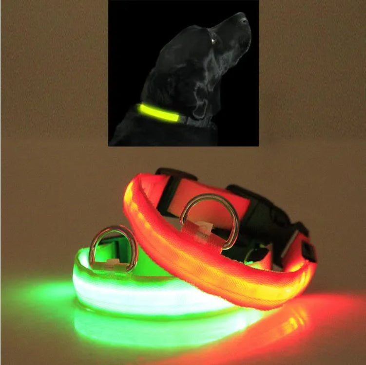 LED Katzen Halsband