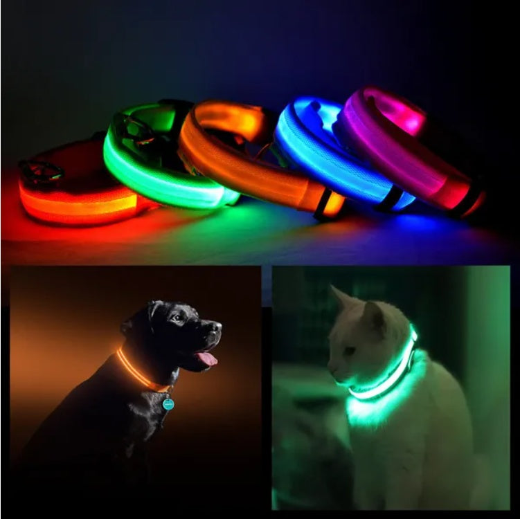 LED Katzen Halsband