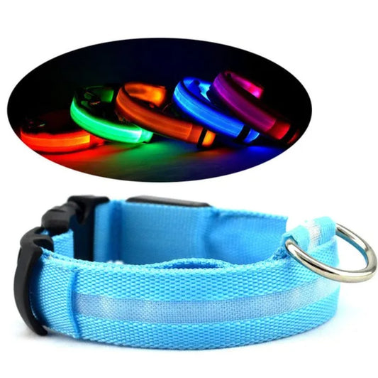 LED Katzen Halsband