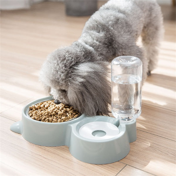 Praktischer Hunde- und Katzennapf mit Wasserstation