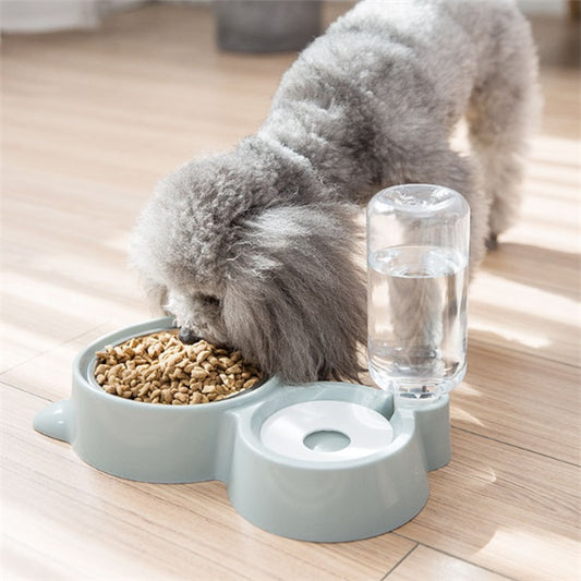 Praktischer Hunde- und Katzennapf mit Wasserstation