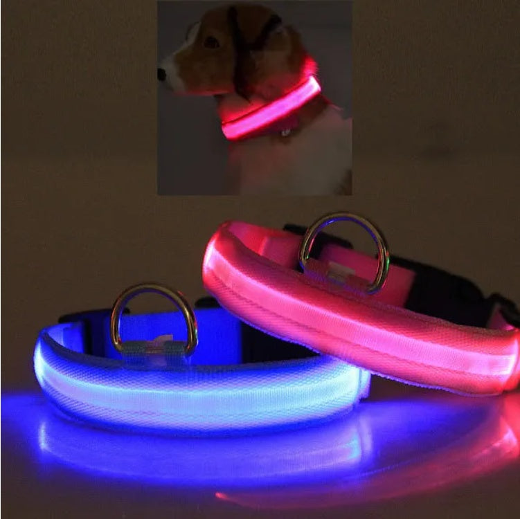 LED Katzen Halsband