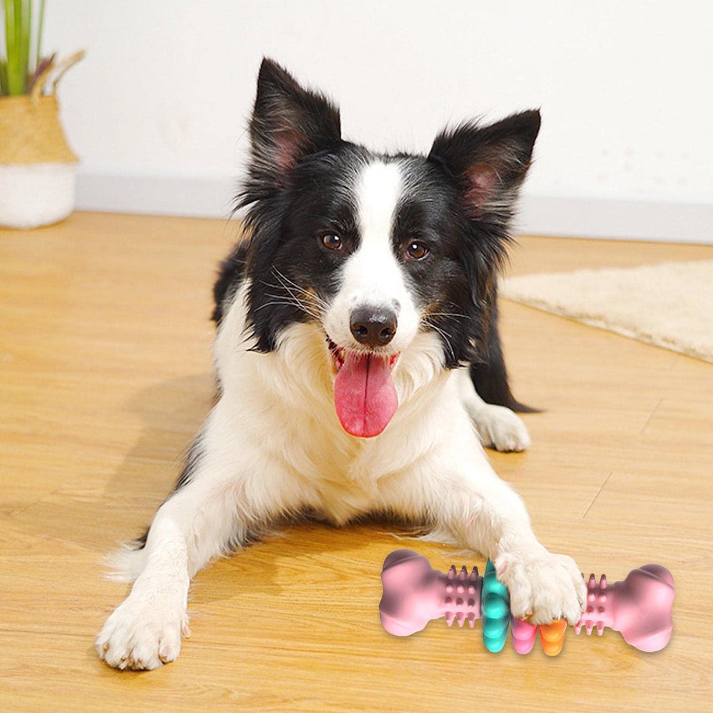 ChewBone Pro™ – Interaktives Hundekauspielzeug für gesunde Zähne