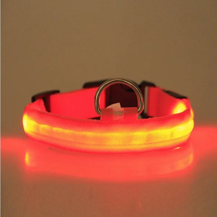 LED Katzen Halsband
