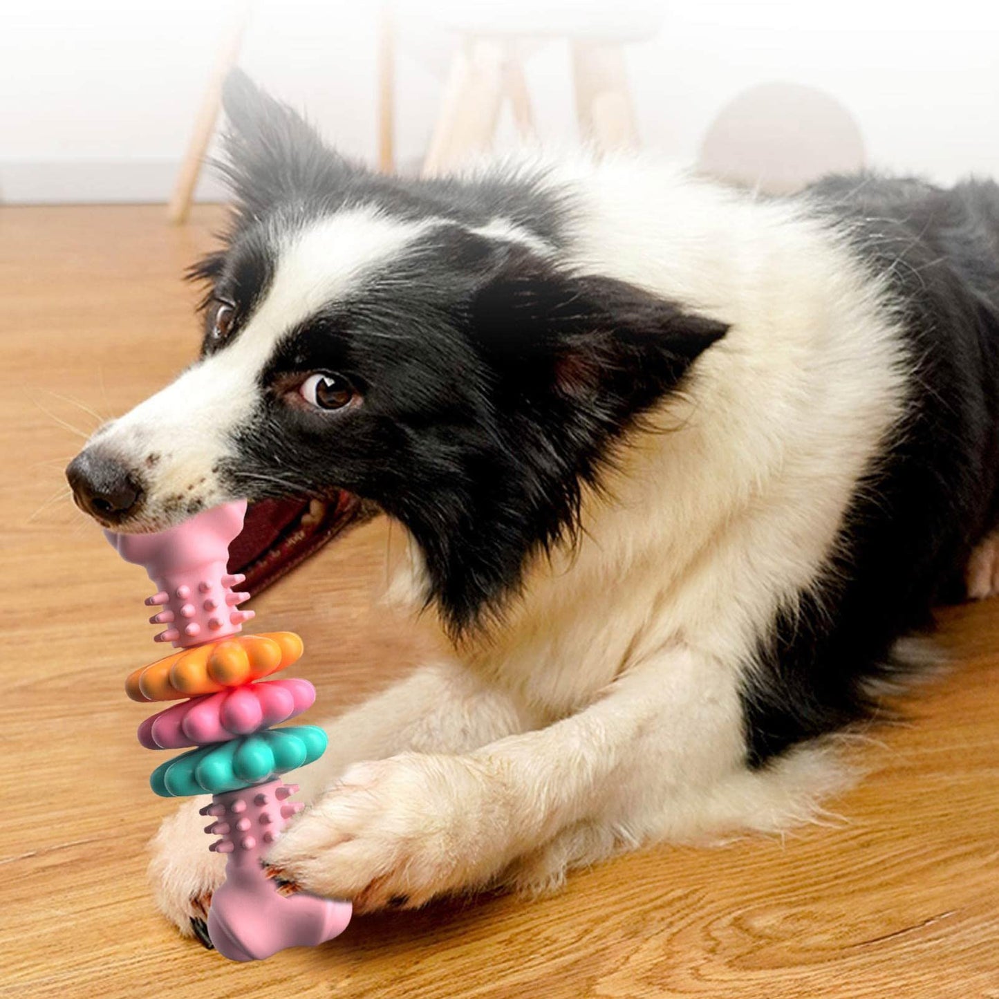 ChewBone Pro™ – Interaktives Hundekauspielzeug für gesunde Zähne