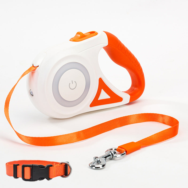 LED Automatic - Hundeleine - Sichere Nachtleine
